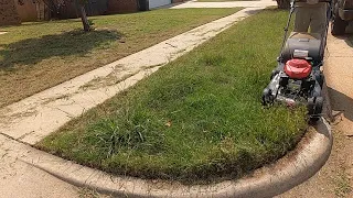 Rookie Sam cut tall grass for elderly neighbor