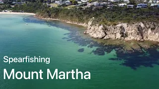 Spearfishing mount Martha