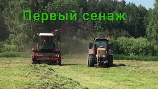 Заготовка сенажа / ПАЛЕССЕ FS80-2, БЕЛАРУС 3022.1, БЕЛАРУС 1523, БЕЛАРУС 1221В И ДР /