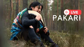 Pakari (Yupanki) - Live Native Music to Lift Your Mood