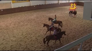 Занятия в конно-спортивной школе с детьми с ограниченными возможностями здоровья