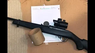 Umarex Ruger 10/22 with Axeon Red Dot