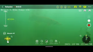 Hecht in der Neuen Donau - filmen mit einer Unterwasser Drohne ( Drone ROV Fifish V6S )