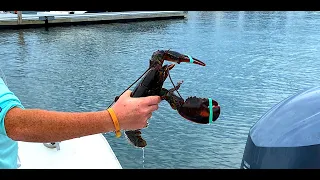 Portland maine lobster fishing charter tour with kids and grandparents