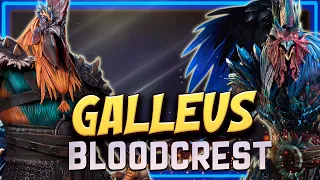 GALLEUS BLOODCREST: Guía | Pollo loco?🐔 o Nuggets?🍗【 RAID SHADOW LEGENDS 】