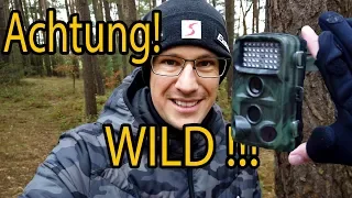 Wildkamera Fotofalle 📸 Was muss ich beachten | meine Tipps!