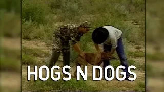 Hog Hunting with Dogs | Throwback Thursday