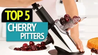 TOP 5 Cherry Pitters