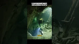 В заброшенной шахте было найдено невероятное