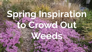 Spring Inspiration to Crowd Out Weeds