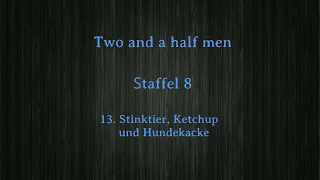 Two and a half men Staffel 8 F 13 -16 ,tonspur , einschlafen
