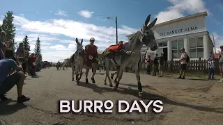 Fairplay, Colorado hosts its 69th Annual Burro Days