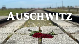 Bearing Witness to History: My Experience at Auschwitz 🇵🇱