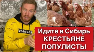 НЕСУ ЧУШЬ? НЕ НА ТОГО НАПАЛИ. Куры кроссы. Куры гибриды. Каких кур разводить в ЛПХ