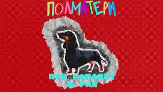 Все псы попадут в рай - ПОЛАМАТЕРИ [1 час]