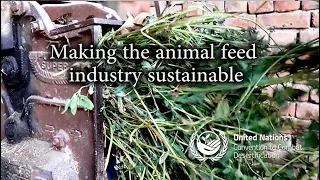 Making animal feed industry sustainable