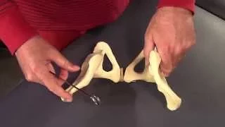 Osteology of the Pelvis (in HD)