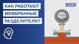 Как работают мембранные разделители? | Области применения и преимущества при измерении давления