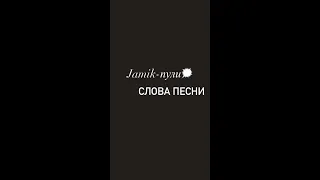 Jamik-пули(текст песни)