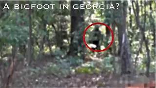 Video reportedly showing a Bigfoot in Georgia.