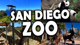 [Top 10 San Diego Zoo Safari Park Tips]  California 2023