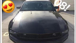 5 Things I LOVE About My 2008 Mustang (V6)