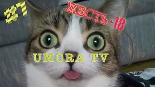 ПРИКОЛЫ 2017 Август #7 смешно до слез угар прикол - UMORA TV