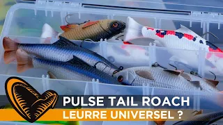 Pulse Tail Roach de Savage Gear : leurre universel ? (brochet, black-bass, sandre, perche...)