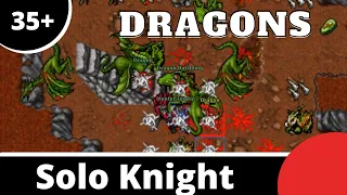 Venore Dragon Lair for Solo Knights 35+ [Tibia]