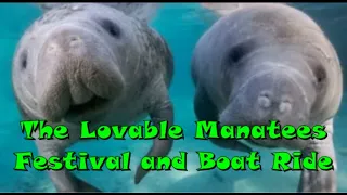 Outside of the Villages Florida -The Manatee Festival and Boat Ride at Crystal River Florida