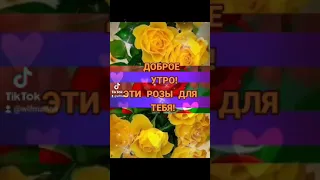 Доброе утро! Эти розы для тебя!🌹🌹🌹#Shorts