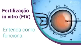 Fertilização in Vitro (FIV) | CEFERP