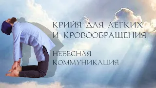 Крийя для легких и кровообращения + небесная коммуникация