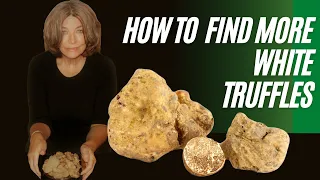 Finding White Truffles - How to level up as a white truffle hunter!