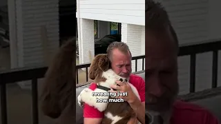 They got their dad a puppy for Father’s Day after his dog passed away ❤️#viral #shorts #trending