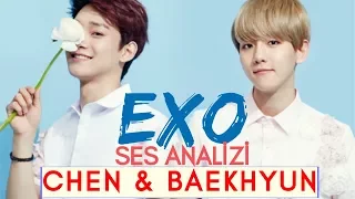 EXO - Chen & Baekhyun Voice Analysis (Welcome K-POP)