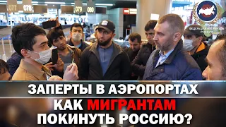 Вадим Коженов в аэропорту Внуково: СОТНИ МИГРАНТОВ НЕ МОГУТ ПОПАСТЬ ДОМОЙ