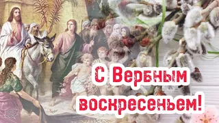 С Вербным Воскресеньем! 🌸 28 апреля! 🌸 Красивое поздравление