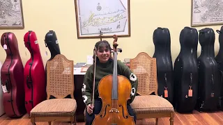 Arm Weight Vs. Arm Pressure When Playing the Cello