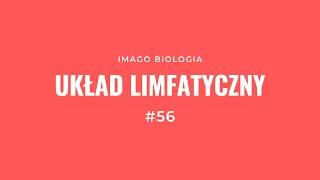 Układ limfatyczny