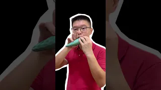 陶笛吹奏動漫神曲 航海王，寶可夢，七龍珠#ocarina #陶笛 #動漫