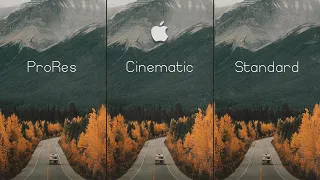 iPhone 13 Pro  PRORES vs STANDARD vs CINEMATIC MODE