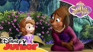 Sofia the First - Princess Charlotte | Official Disney Junior Africa