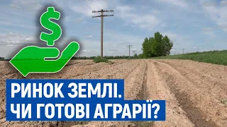 Від однієї до двох тисяч доларів за гектар - з якої ціни стартує ринок землі на Чернігівщині
