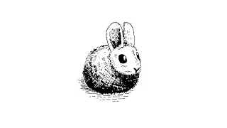 Hare Programming Language