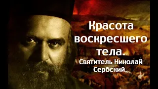 Готовь свое тело к воскресению уже сейчас. Святитель Николай Сербский.