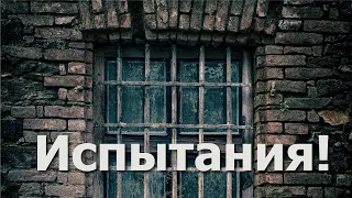 СВИДЕТЕЛЬСТВО АЗАРОВ М. И. ВРЕМЯ СВОБОДЫ. ИСПЫТАНИЕ!