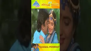 Manjal Poosum Video Song | Sakkarai Devan Movie Song | Vijayakanth | Sukanya | Ilaiyaraaja | #shorts