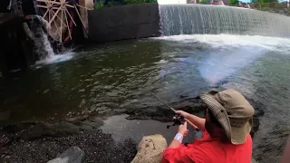 Trout Fishing Old Mill Pigeon Forge Tennessee