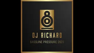 DJ Richard - Bassline Pressure 2023 - 3 Hours of the Best Speed Garage & Bass in the Mix